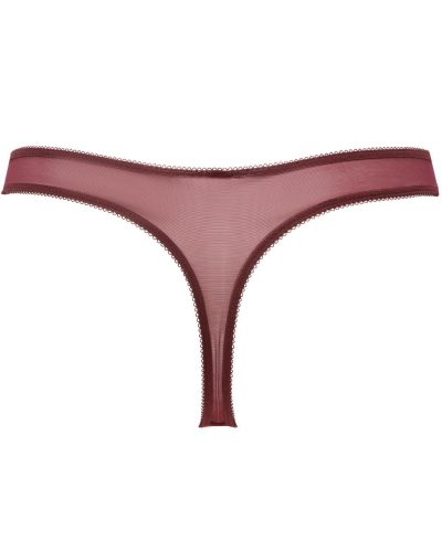 glossies lace thong fig/trq fig