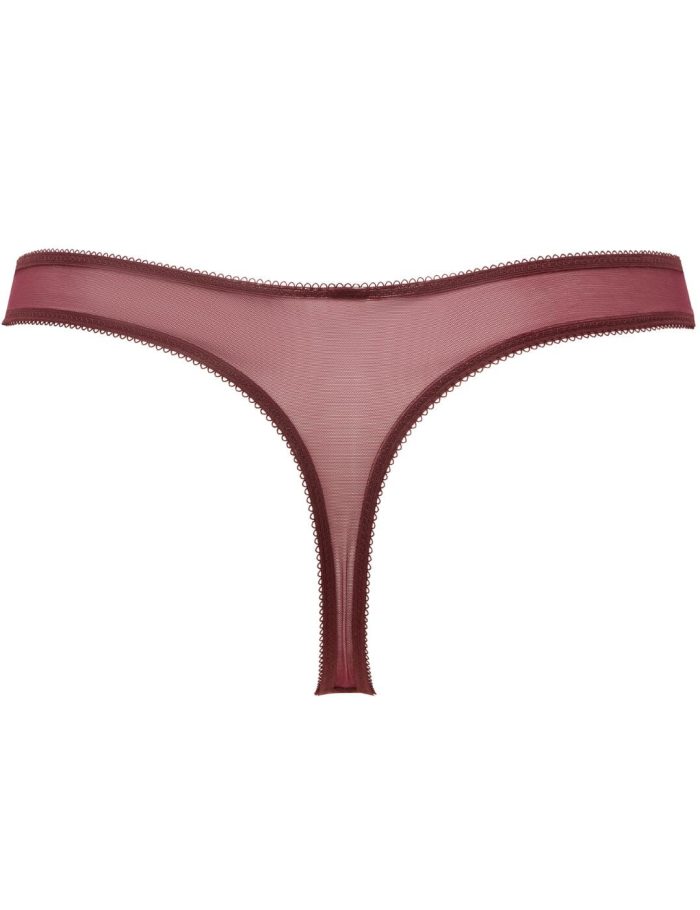 glossies lace thong fig/trq fig